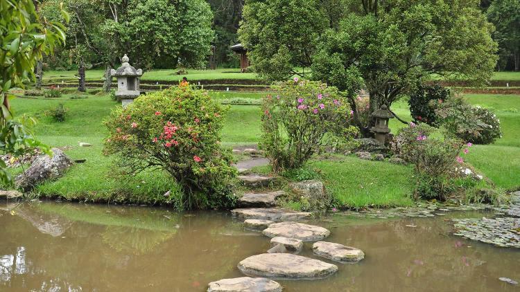 Avenue Nuwara Eliya Apartment Luaran gambar